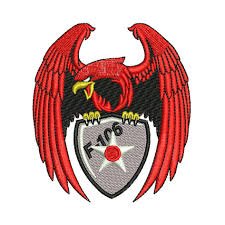 F-106 eagle crest left chest embroidery digitizing design